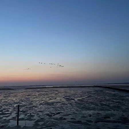 Kloensnack, 도누메시어