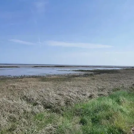 Kloensnack, * 도누메시어