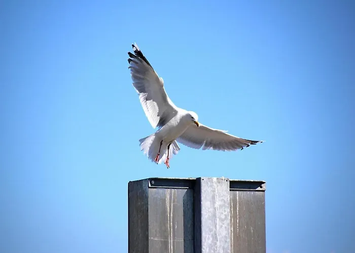 Hébergement de vacances Kloensnack,